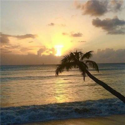 皇冠正规娱乐平台下载手机版